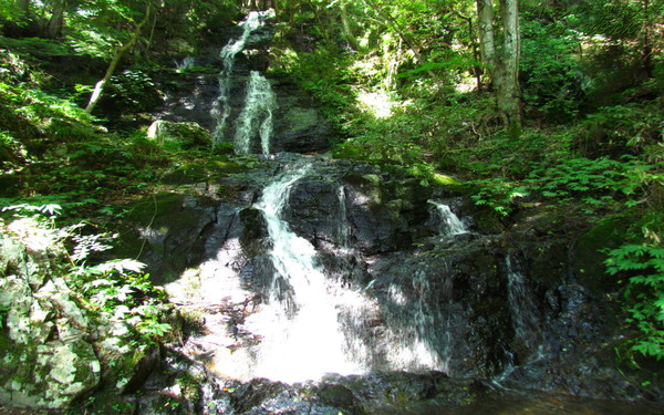 �ɻ桡2352�������1280��800