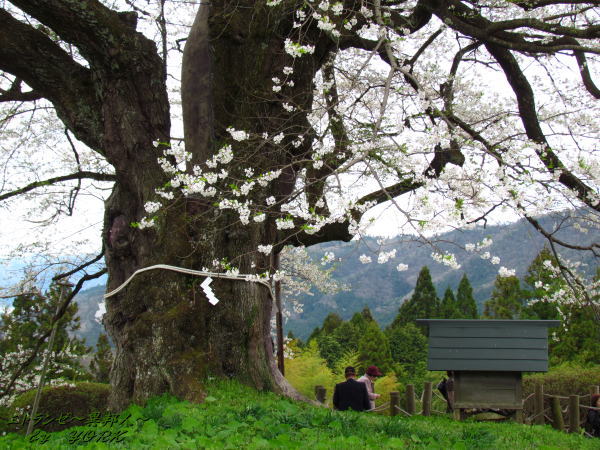 2440�����ȼ�120421