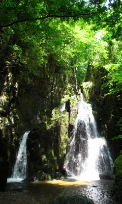 �����ѡ�2282������ư��240��400