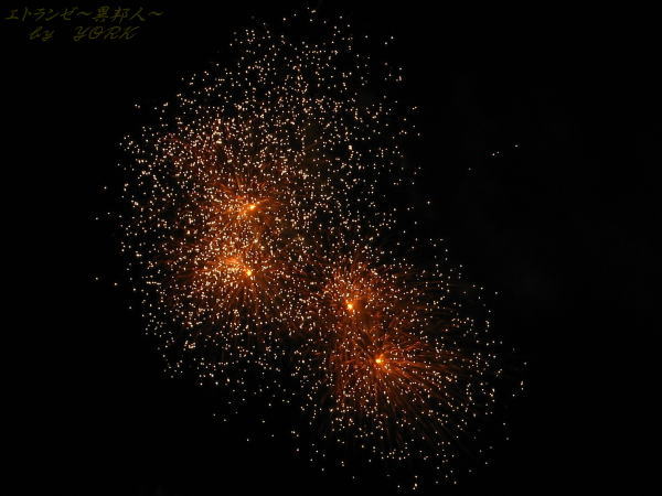 1338�ä��椯�ֲ�110806