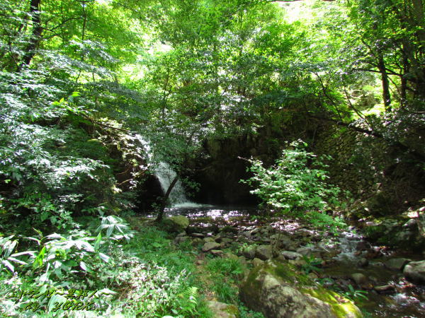 3646�������������140914