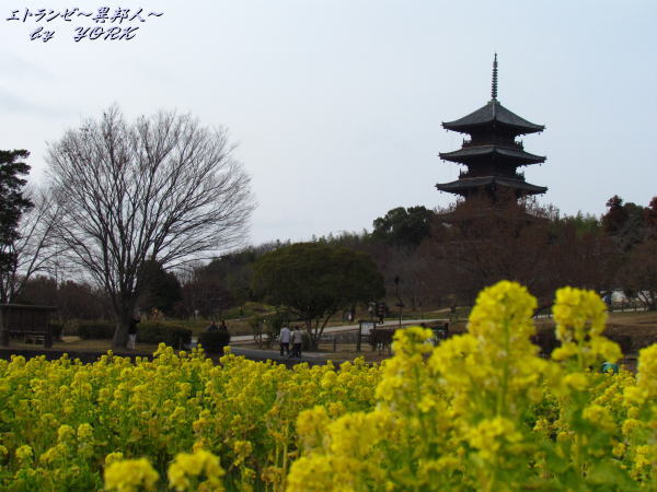 6121���ڲ֤ȸ޽���130203