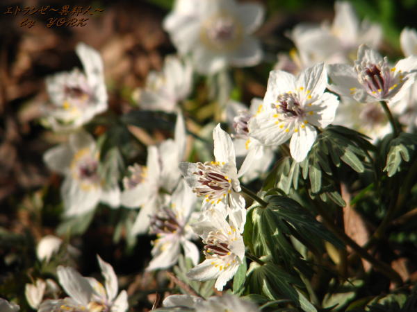 2218��ʬ��140222