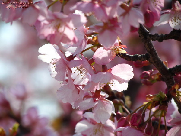 2371���ź�170311