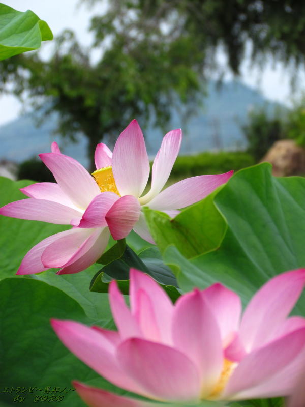 3423ϡ����120708