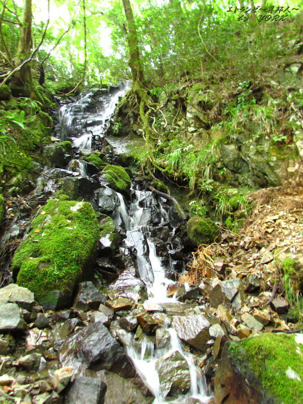 3686��ʥ���������140915