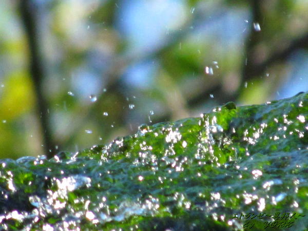 8518�夷�֤�130821