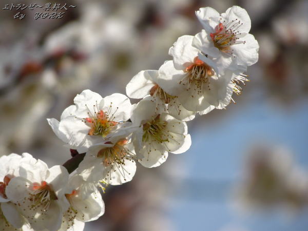 1796����120325