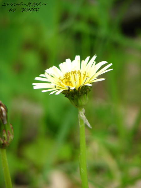 0496��֥���ݥ�110429