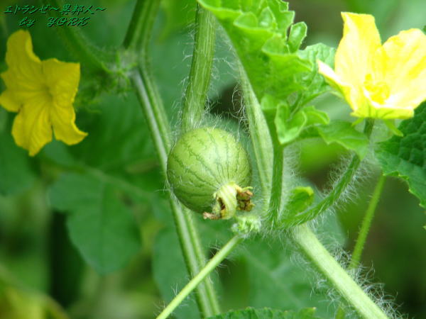 1284������110723