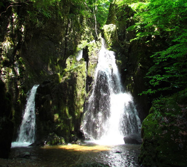 ���ޥ��ѡ�2282������ư��960��854