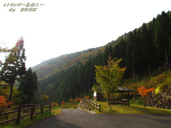 5452������־�141026