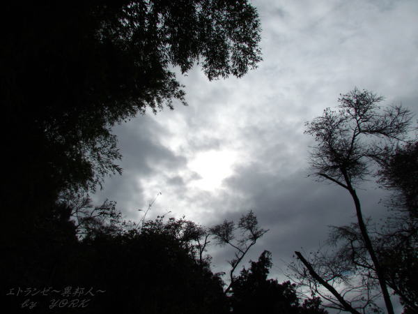 0466�ͤ��߿��ζ�111023