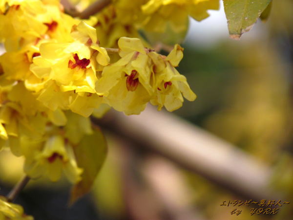 1378�����Х�120122