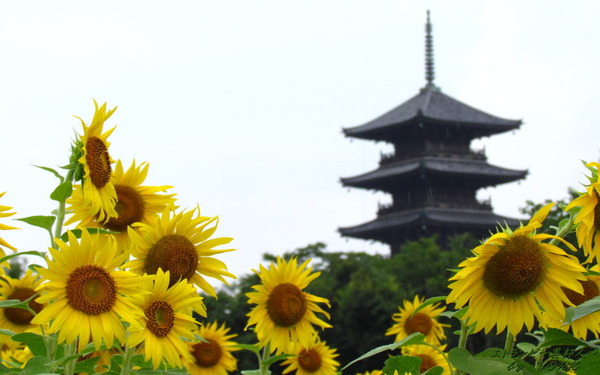 �ɻ桡7936�������ȸ޽���1280��800