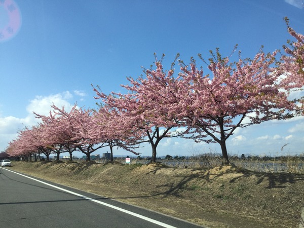 8A8298B4-9D8F-4BDB-885B-D377F0D7E273