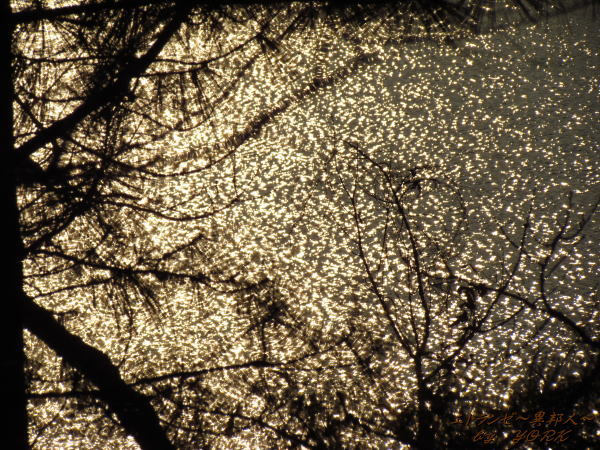 1329���饭��ο��̤Ⱦ�120114