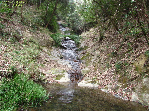 2427��ͤ���170318