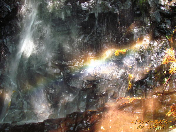 9584��ȱ�������131013