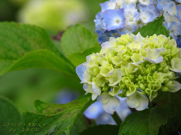 7815���۲�130623