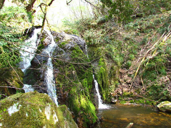 1000�Ų���ư��ͤ���ʲ������140426