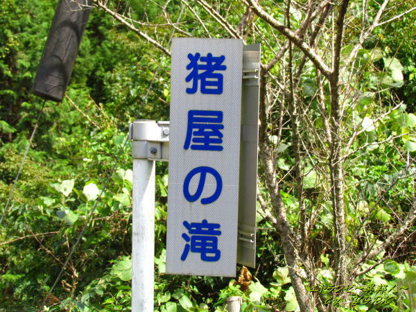 4643��������δ���140920