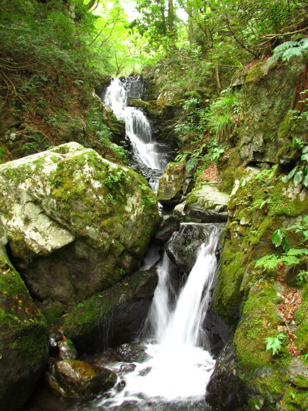 3721��ʥ����140915