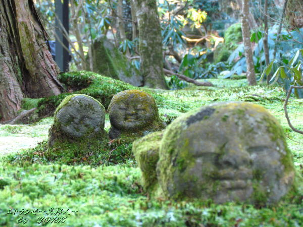 5760���鱡�Τ�����¢ã121224