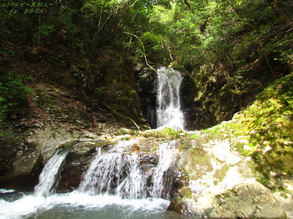 8653���Ƥ���150517