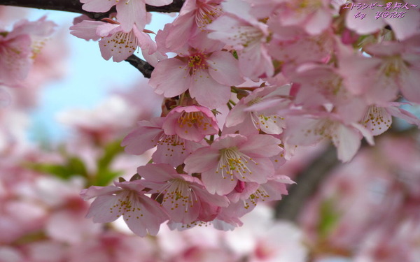 �ɻ桡6440�¹Ժ�1280&times;800