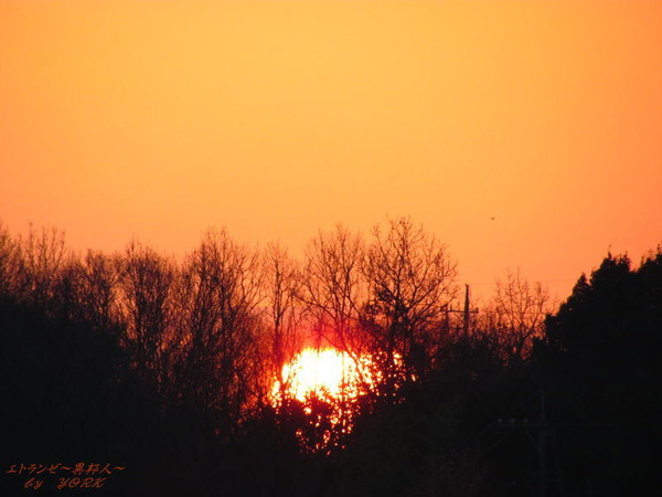 1596�����ν�2017��170101