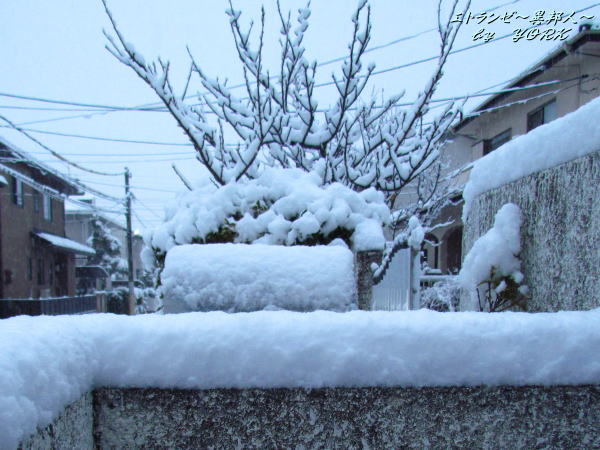 1149�����󣱣����140208