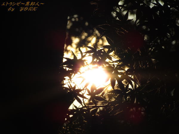 0406���դ��դ�������111009