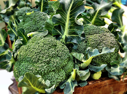 宮じいの旨ブロッコリー