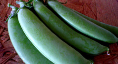 スナップエンドウ