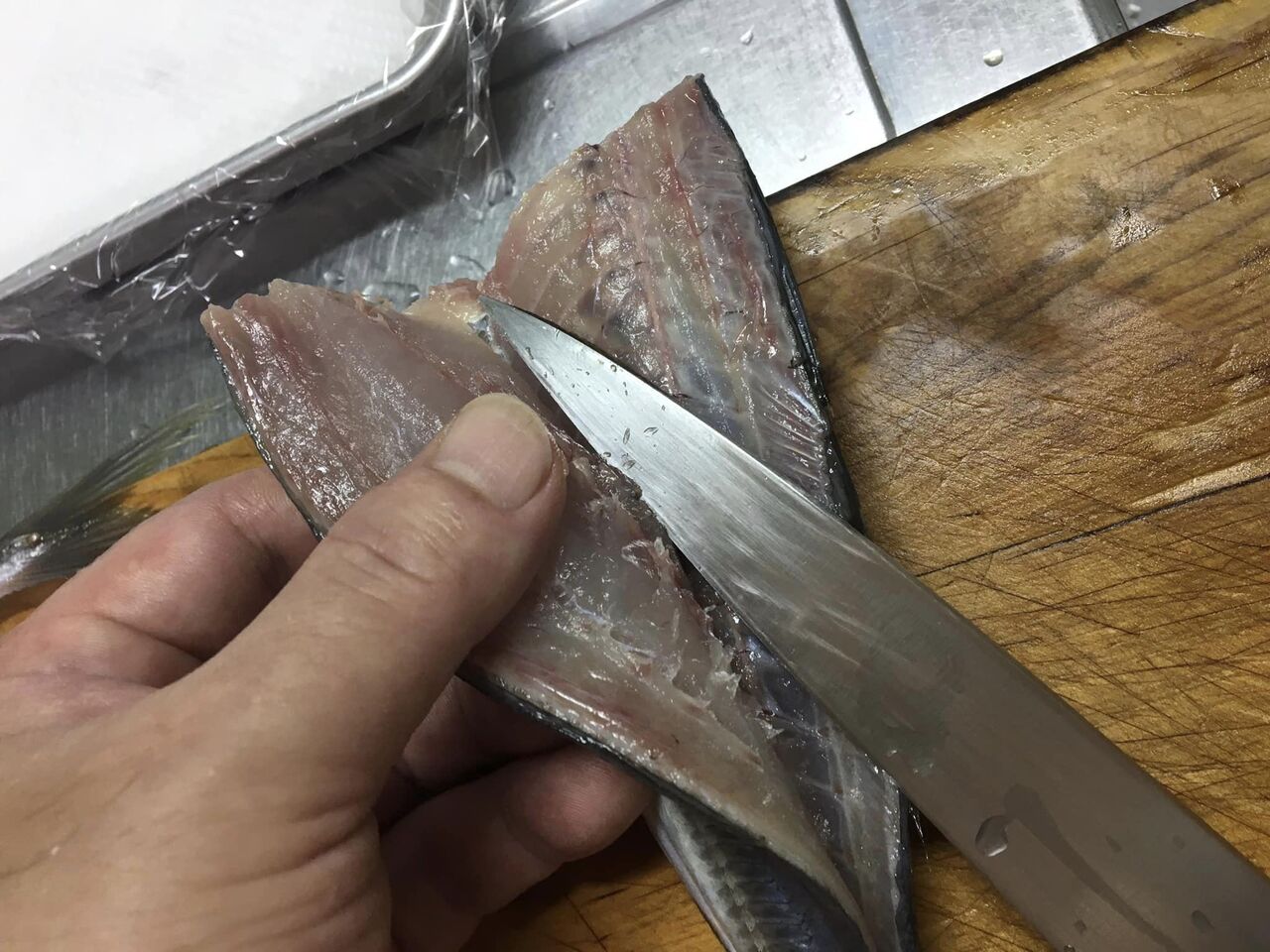 アジの三枚おろし