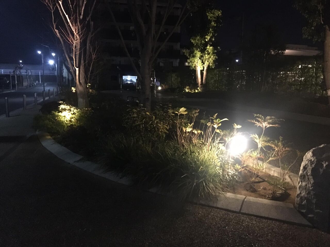 朝の風景