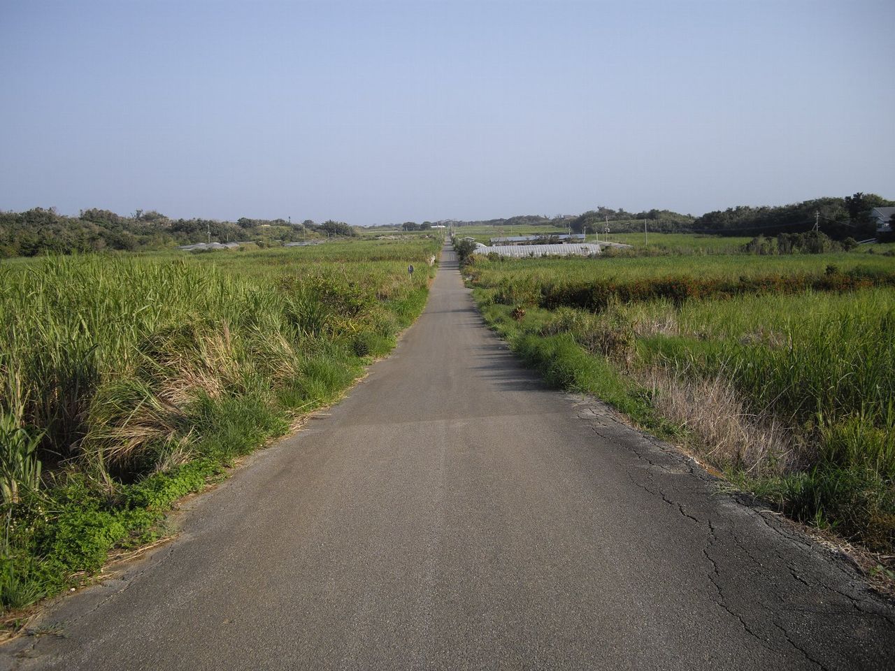 農道一本道