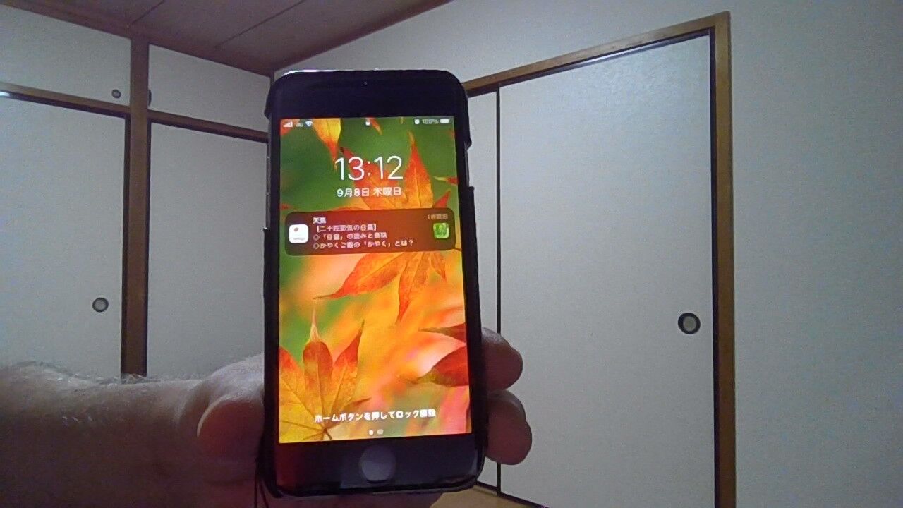 iPhone 6s(1)