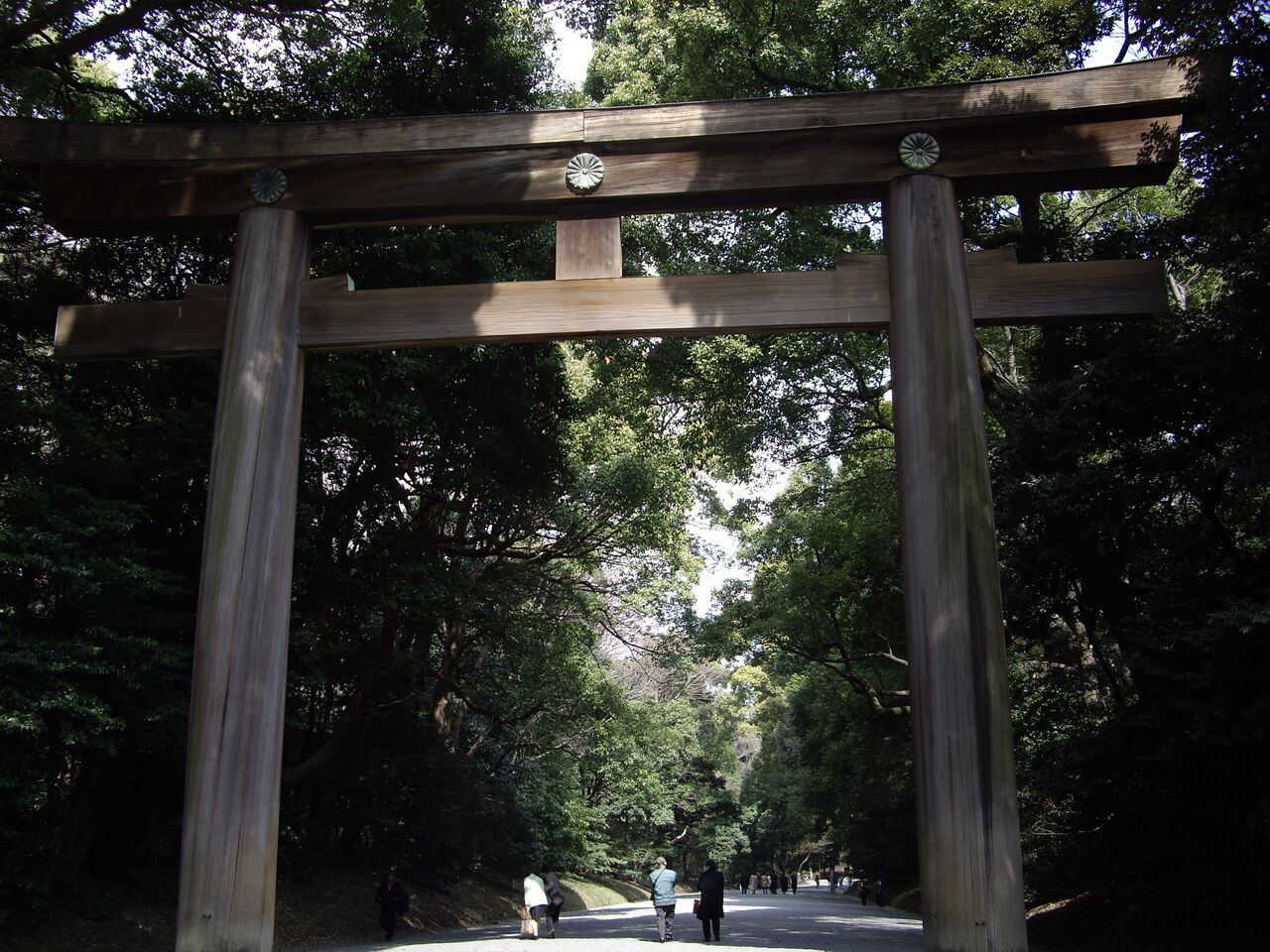 IMGP0788