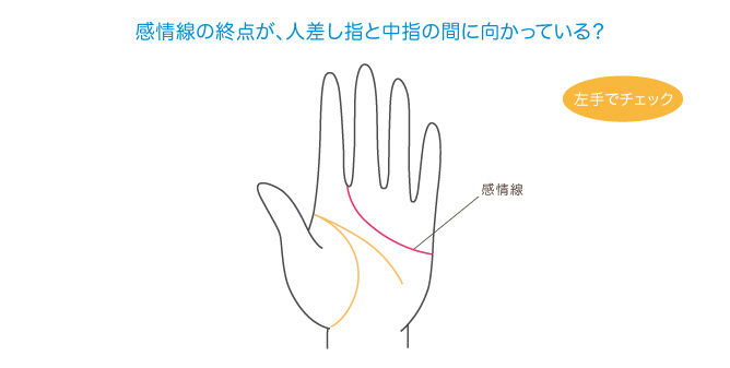 ウラオモテソウ