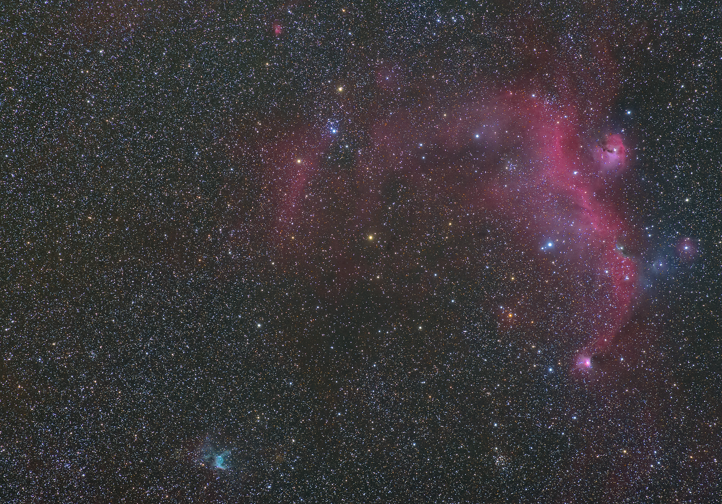 わし星雲 かもめ星雲 Ic2177 大犬座 夜のおひさま わし星雲 かもめ星雲 Ic2177 大犬座 夜のおひさま