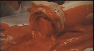 自殺サークル ｒ15 I Horror Mania