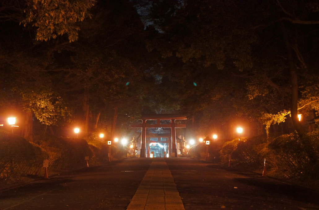 夜散歩のススメ1310 杉並大宮八幡宮の表参道 夜散歩のススメ