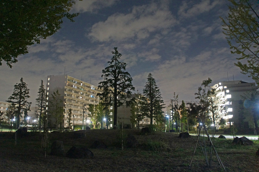 夜散歩のススメ1840 庭園のような武蔵野中央公園 夜散歩のススメ 夜散歩のススメ1840 庭園のような武蔵野中央公園 夜散歩のススメ