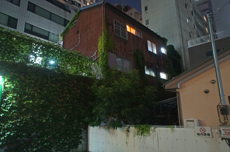 夜散歩のススメ2765 崖地の立ち姿がいい立体 夜散歩のススメ