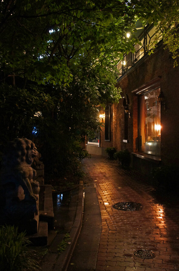 夜散歩のススメ2598 さらに細くなる ブラームスの小径 夜散歩のススメ 夜散歩のススメ2598 さらに細くなる ブラームスの小径 夜散歩のススメ