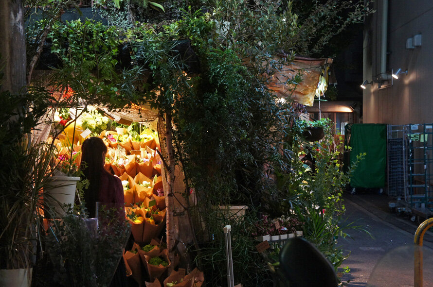 夜散歩のススメ2799 緑のトンネルを覗く 夜散歩のススメ