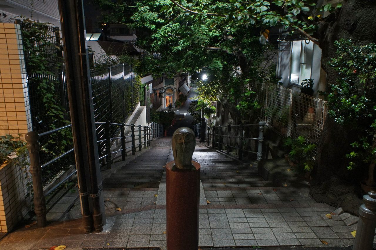 夜散歩のススメ19 フクロウとリス階段坂 夜散歩のススメ 夜散歩のススメ19 フクロウとリス階段坂 夜散歩のススメ