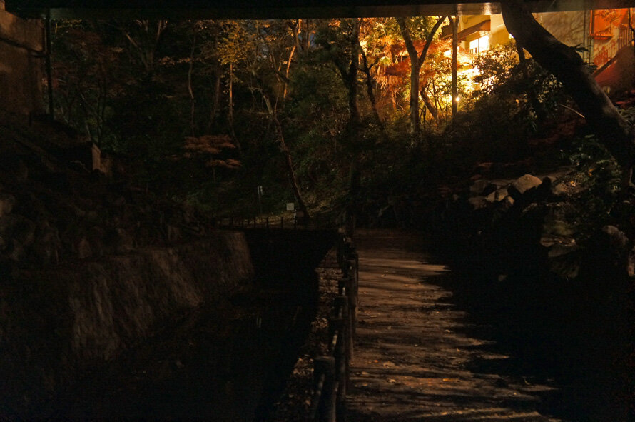 夜散歩のススメ2902 幽玄なり 闇の等々力渓谷 夜散歩のススメ